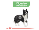 ROYAL CANIN MEDIUM DIGESTIVE CARE 3KG