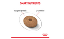 ROYAL CANIN MINI LIGHT WEIGHT CARE 3KG