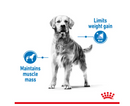 ROYAL CANIN MEDIUM LIGHT WEIGHT CARE 3KG
