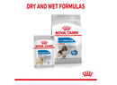 ROYAL CANIN MEDIUM LIGHT WEIGHT CARE 3KG