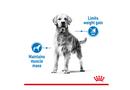 ROYAL CANIN MAXI LIGHT WEIGHT CARE 12KG