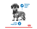 ROYAL CANIN LIGHT WEIGHT CARE LOAF (12) 85G