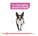 ROYAL CANIN MINI RELAX CARE 3KG