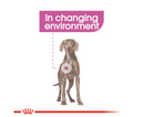 ROYAL CANIN MAXI RELAX CARE 9KG
