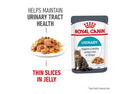 ROYAL CANIN URINARY CARE JELLY (12) 85G