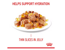 ROYAL CANIN URINARY CARE JELLY (12) 85G