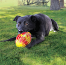 KONG FLEXBALL SPORT FOOTBALL M