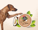 PET HEAD ON ALL PAWS PAW BUTTER 60ML
