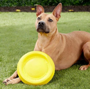 *STARMARK EASY GLIDE DURAFOAM DISC