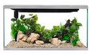 LIFESTYLE CLASSIC 182 COMPLETE GLASS AQUARIUM 100cm