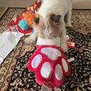 KONG HOLIDAY DOG STOCKING PAW LARGE