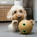 *KONG BAMBOO FEEDER BALL MEDIUM