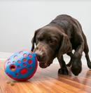 KONG REWARDS WALLY MED/LGE