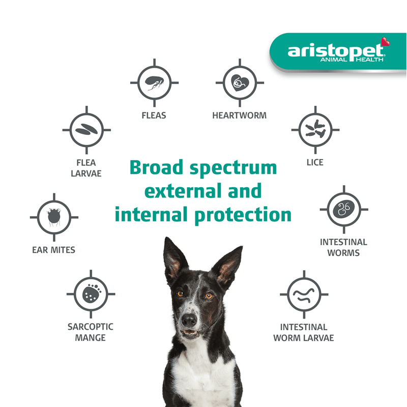 Aristopet Spot Treatment for Dogs