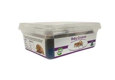 BABY CRICKETS 200/TUB