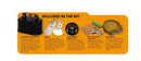 ECO TECH BEARDED DRAGON STARTER KIT
