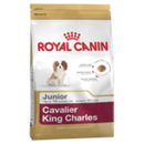 ROYAL CANIN DOG CAVALIER KING CHARLES PUPPY 1.5KG