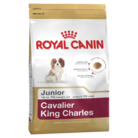 ROYAL CANIN DOG CAVALIER KING CHARLES PUPPY 1.5KG
