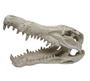 URS CROC SKULL XLGE