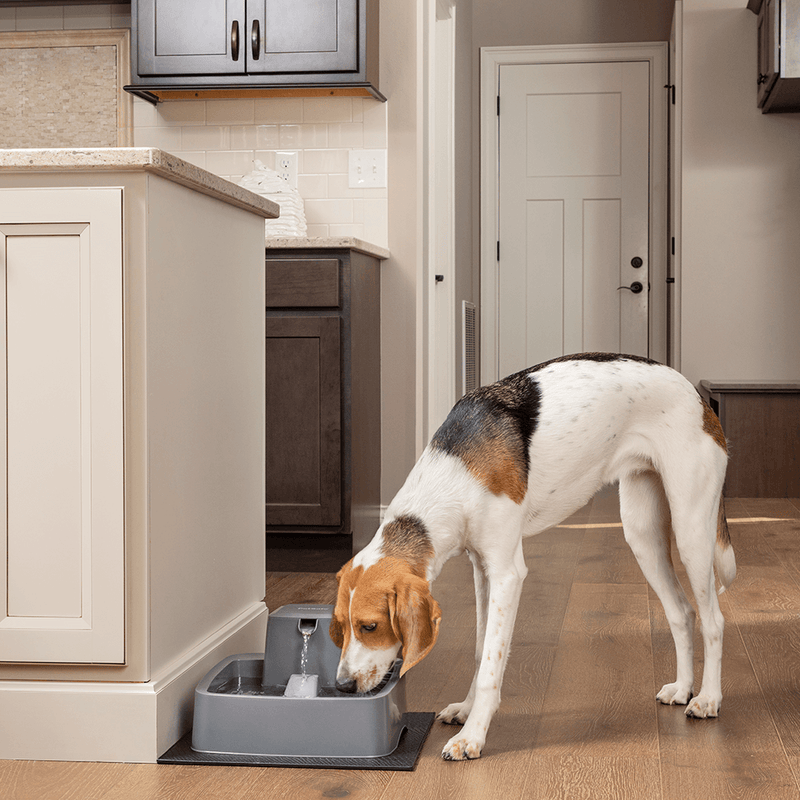 Drinkwell Pet Water Fountain 3.7L