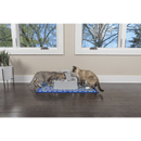 Drinkwell Pet Water Fountain 7.5L