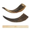 BARK & BEYOND GOAT HORN LARGE 27-32CM