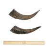 BARK & BEYOND GOAT HORN MEDIUM 20-25CM