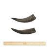 BARK & BEYOND GOAT HORN SMALL 10-15CM