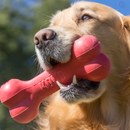 KONG HOLIDAY GOODIE BONE MEDIUM