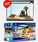 HERMIT CRAB KINGDOM