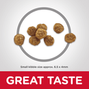 Hills SD Cat Age Defying 11+