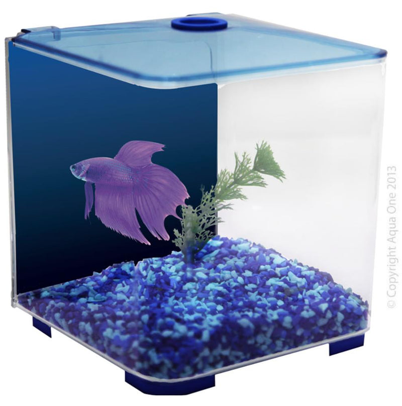 AQUA ONE BETTA ACRYLIC 3L TANK BLUE