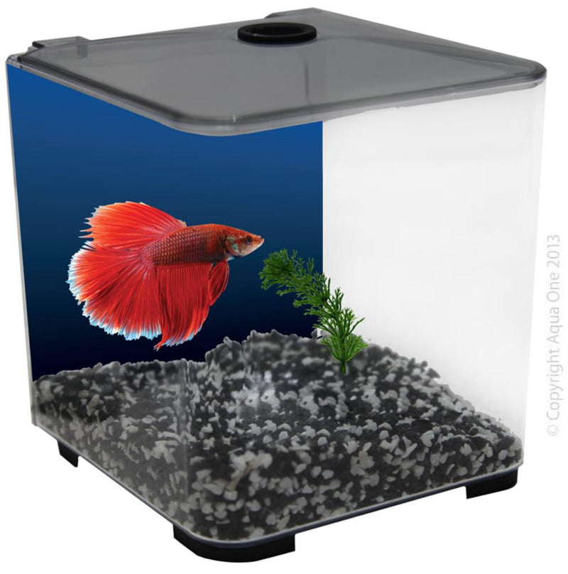 AQUA ONE BETTA ACRYLIC 3L TANK GREY