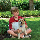 PetSafe Little Dog Spray Bark Collar