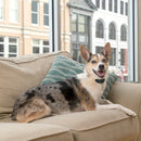 PetSafe Lite Rechargeable Bark Collar