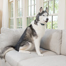 PetSafe Rechargea Bark Collar