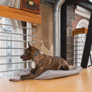 PetSafe Rechargea Bark Collar