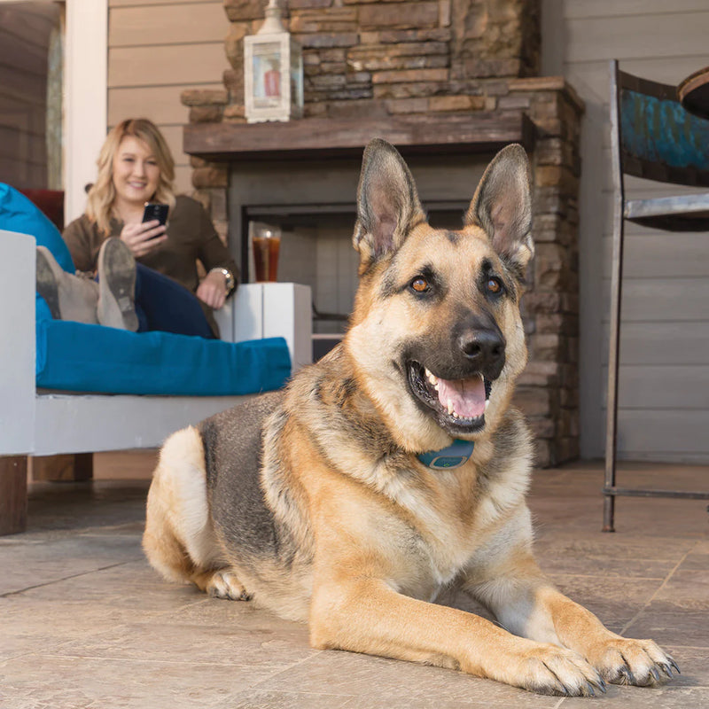PetSafe Smart Dog Trainer