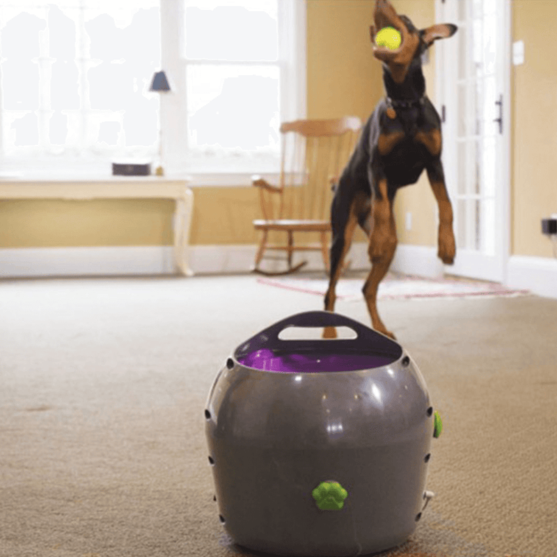 PetSafe Automatic Ball Launcher