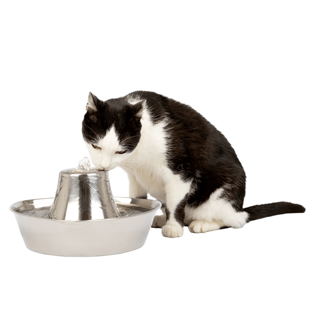 PetSafe Seaside Pet Fountain