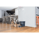 PetSafe Smart Feed Automatic Pet Feeder