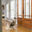 PetSafe Spray Bark Collar