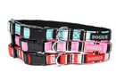 DOGUE STRIPED COLLAR