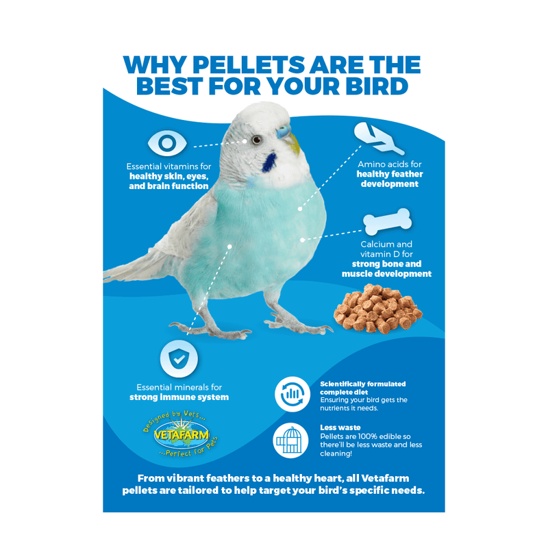 Vetafarm Parrot Pellet Maintenance Diet