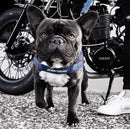 EZYDOG HARNESS QF SML DENIM