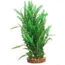 AQUA ONE PLANT FONTINALIS W/BASE LGE