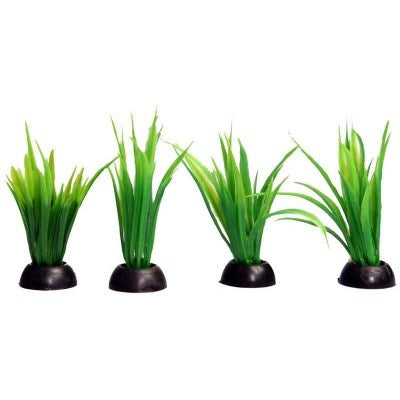 *ECOSCAPE F/GRD LILAEOPSIS 4PK GREEN