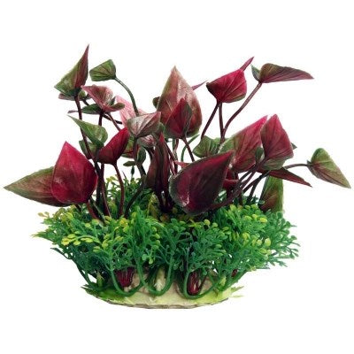 ECOSCAPE 4" PLANTER SML LILY RED