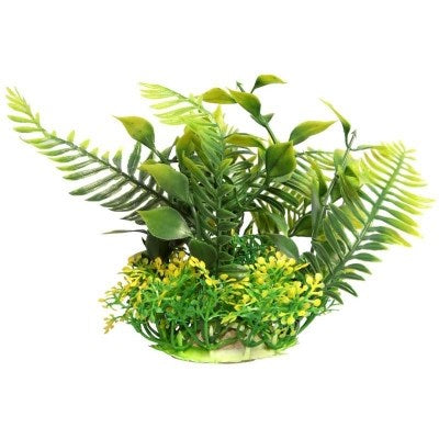 ECOSCAPE 4" PLANTER SML FERN GRN