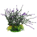 ECOSCAPE PLANTER 8" MED BLADDERWORT PUR